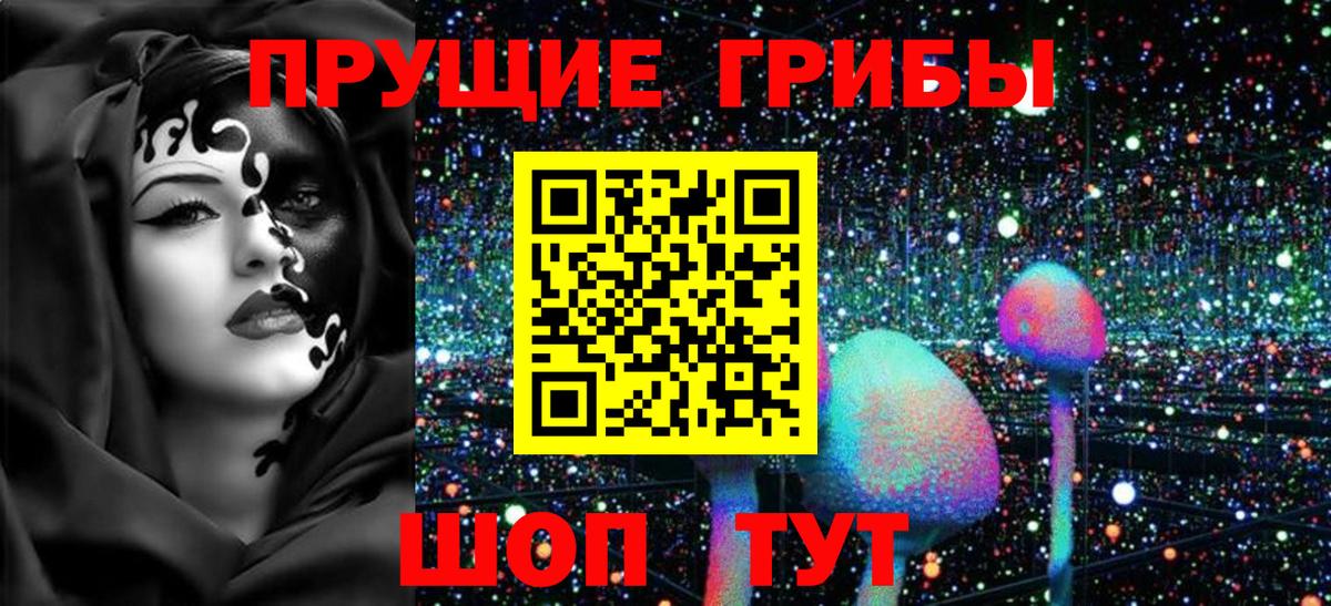 Псилоцибиновые грибы GOLDEN TEACHER  Вход с VPN  Аргун 